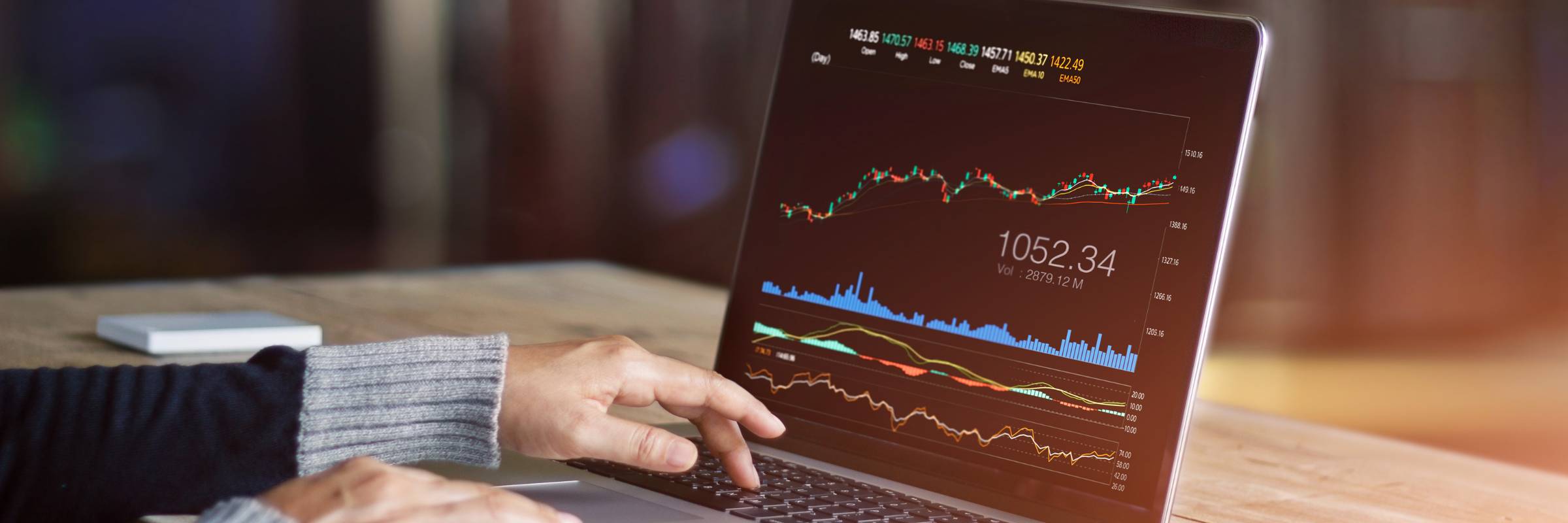 Como montar uma carteira diversificada: guia para iniciantes